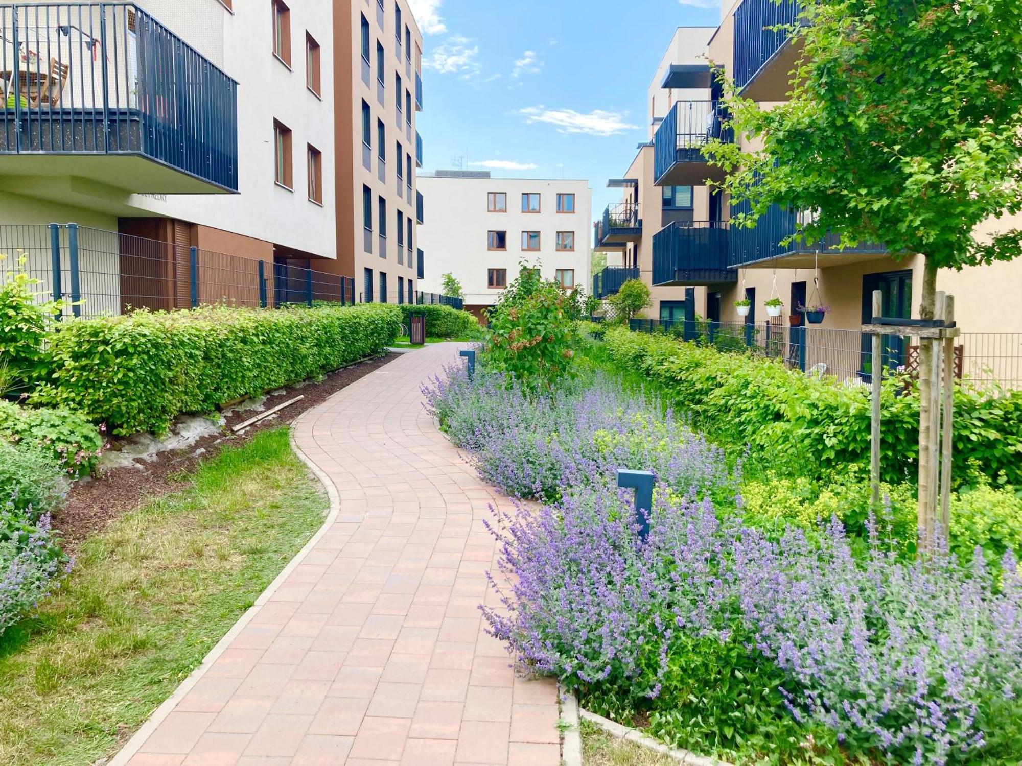 Apartament Lagiewniki Krakau Exterior foto